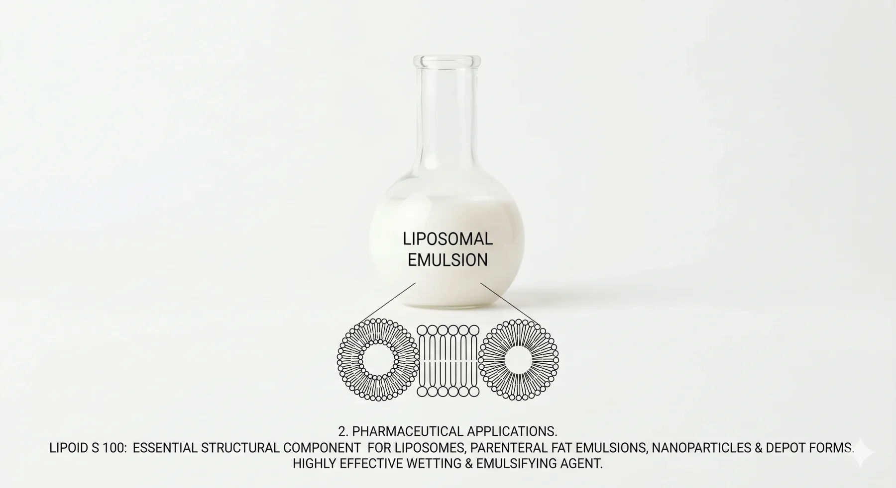 LIPOID S 100